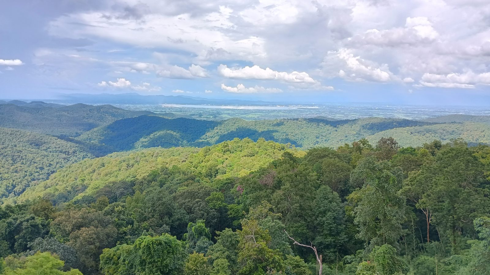 Dinosaur Viewpoint