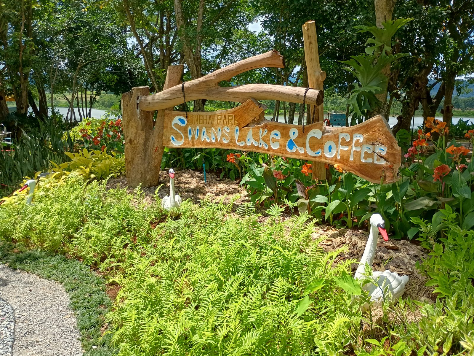 Singha Park Tea